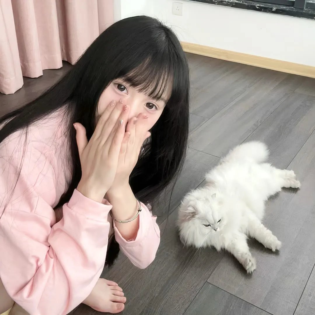 田野泪